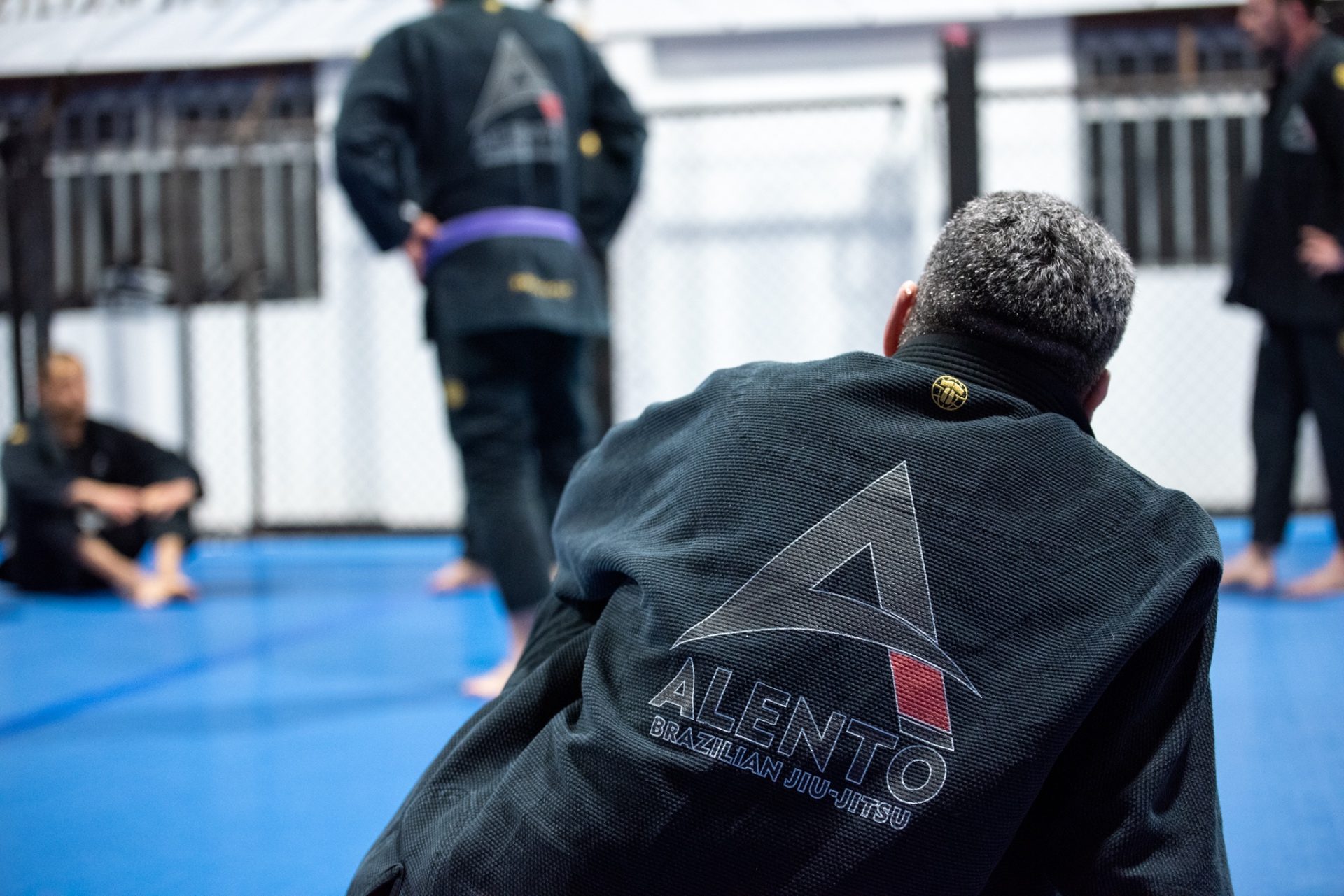 Alento gi back patch on the mats